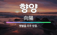 🌟향양: 햇볕을 마주 받음. - 표준국어대사전