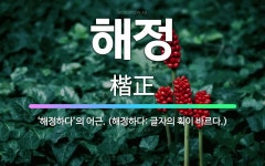 🌟해정: ‘해정하다’의 어근. (해정하다: 글자의 획이 바르다.) - 표준국어대사전
