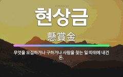 🌟현상금: 무엇을 모집하거나 구하거나 사람을 찾는 일 따위에 내건 돈. - 표준국어대사전