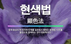 🌟현색법: 염색 합성의 맨 마지막 단계를 섬유에서 행하는 염색법. 나프톨 물감으로 염색하는 것이 대표적이다. - 표준국어대사전