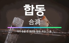 🌟합동: 여러 동을 한 동으로 합침. 또는 그 동. - 표준국어대사전