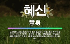 🌟혜신: 오분법신(五分法身)의 하나. 소승 불교에서, 부처의 몸의 한 부분을 이르는 것으로, 계(戒)ㆍ정(... - 표준국어대사전
