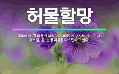 🌟허물할망: 제주에서, 각 마을의 본향당(本鄕堂)에 모시는 신의 하나. 부스럼, 옴, 눈병 따위를 다스린다... - 표준국어대사전