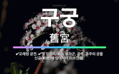 럭키가요궁 | 🌟구궁: 오래된 궁전., 옛 임금의 대군, 왕자군, 공주, 옹주의 궁을 신궁(新宮)에 상대하여 이르던 말. - 표준국어대사전