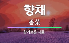 재형이네나물 | 🌟향채: 향기로운 나물. - 표준국어대사전