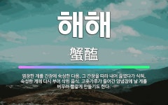 🌟해해: 염장한 게를 간장에 숙성한 다음, 그 간장을 따라 내어 끓였다가 식혀, 숙성한 게에 다시 부어 삭... - 표준국어대사전