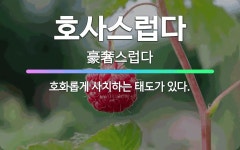 🌟호사스럽다: 호화롭게 사치하는 태도가 있다. - 표준국어대사전