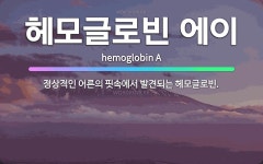 🌟헤모글로빈 에이: 정상적인 어른의 핏속에서 발견되는 헤모글로빈. - 표준국어대사전