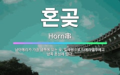 🌟혼곶: 남아메리카 가장 남쪽에 있는 곶. 칠레령으로 티에라델푸에고 남쪽 혼섬에 있다. - 표준국어대사전