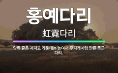 🌟홍예다리: 양쪽 끝은 처지고 가운데는 높여서 무지개처럼 만든 둥근 다리. - 표준국어대사전