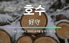 🌟호수: 운동 경기에서, 상대의 공격을 잘 막아 내는 일. - 표준국어대사전