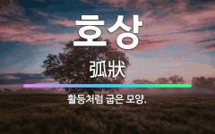 🌟호상: 활등처럼 굽은 모양. - 표준국어대사전