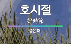 🌟호시절: 좋은 때. - 표준국어대사전