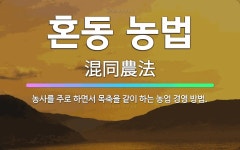 🌟혼동 농법: 농사를 주로 하면서 목축을 같이 하는 농업 경영 방법. - 표준국어대사전