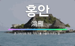 🌟홍안: 큰 기러기와 작은 기러기를 아울러 이르는 말. - 표준국어대사전