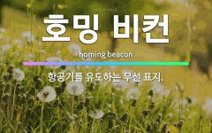🌟호밍 비컨: 항공기를 유도하는 무선 표지. - 표준국어대사전
