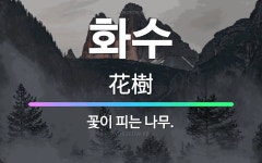 🌟화수: 꽃이 피는 나무. - 표준국어대사전