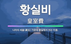 🌟황실비: 나라의 세출(歲出) 가운데 황실에서 쓰는 비용. - 표준국어대사전