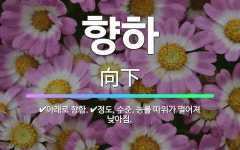 🌟향하: 정도, 수준, 능률 따위가 떨어져 낮아짐., 아래로 향함. - 표준국어대사전