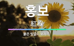 🌟홍보: 붉은 빛깔의 보자기. - 표준국어대사전