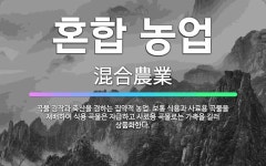 🌟혼합 농업: 곡물 경작과 축산을 겸하는 집약적 농업. 보통 식용과 사료용 곡물을 재배하여 식용 곡물은 자... - 표준국어대사전