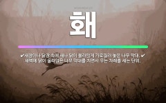 🌟홰: 새장이나 닭장 속에 새나 닭이 올라앉게 가로질러 놓은 나무 막대., 새벽에 닭이 올라앉은 나무 막대... - 표준국어대사전