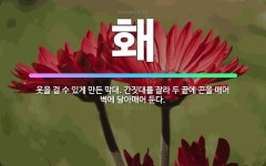 🌟홰: 옷을 걸 수 있게 만든 막대. 간짓대를 잘라 두 끝에 끈을 매어 벽에 달아매어 둔다. - 표준국어대사전