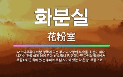 🌟화분실: 소철나무, 은행나무 따위의 밑씨에서, 주공(珠孔) 쪽에 있는 주피와 주심 사이에 있는 작은 방.... - 표준국어대사전