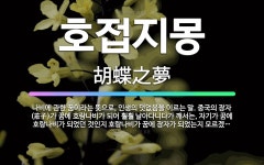 🌟호접지몽: 나비에 관한 꿈이라는 뜻으로, 인생의 덧없음을 이르는 말. 중국의 장자(莊子)가 꿈에 호랑나비... - 표준국어대사전