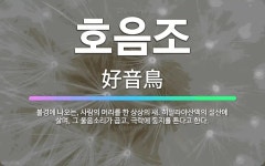 🌟호음조: 불경에 나오는, 사람의 머리를 한 상상의 새. 히말라야산맥의 설산에 살며, 그 울음소리가 곱고,... - 표준국어대사전