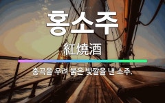 🌟홍소주: 홍곡을 우려 붉은 빛깔을 낸 소주. - 표준국어대사전