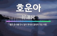 🌟호운아: 좋은 운수를 만나 일이 뜻대로 잘되어 가는 사람. - 표준국어대사전