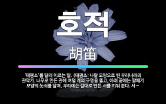 🌟호적: ‘태평소’를 달리 이르는 말. (태평소: 나팔 모양으로 된 우리나라의 관악기. 나무로 만든 관에 ... - 표준국어대사전