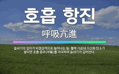 🌟호흡 항진: 숨쉬기의 깊이가 비정상적으로 늘어나는 일. 혈액 가운데 이산화 탄소가 쌓이면 호흡 중추(中樞... - 표준국어대사전