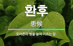 🌟환후: 웃어른의 병을 높여 이르는 말. - 표준국어대사전