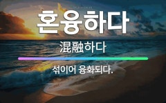 🌟혼융하다: 섞이어 융화되다. - 표준국어대사전