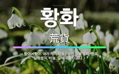 🌟황화: → 황아. (황아: 여러 가지 자질구레한 일용 잡화. 끈목, 담배쌈지, 바늘, 실 따위를 이른다.) - 표준국어대사전
