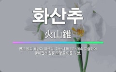 🌟화산추: 많은 양의 용암과 화산력, 화산사 따위가 계속 분출하여 쌓이면서 원뿔 모양을 이룬 지형. - 표준국어대사전