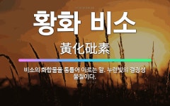 🌟황화 비소: 비소의 화합물을 통틀어 이르는 말. 누런빛의 결정성 물질이다. - 표준국어대사전