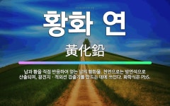 🌟황화 연: 납과 황을 직접 반응하여 얻는 납의 황화물. 천연으로는 방연석으로 산출되며, 광전지ㆍ적외선 검... - 표준국어대사전