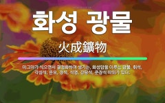 🌟화성 광물: 마그마가 식으면서 결정화하여 생기는, 화성암을 이루는 광물. 휘석, 각섬석, 운모, 장석, ... - 표준국어대사전