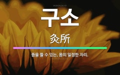 🌟구소: 뜸을 뜰 수 있는, 몸의 일정한 자리. - 표준국어대사전