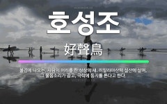🌟호성조: 불경에 나오는, 사람의 머리를 한 상상의 새. 히말라야산맥 설산에 살며, 그 울음소리가 곱고, ... - 표준국어대사전