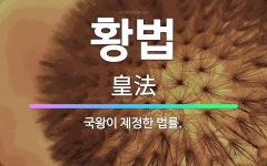 🌟황법: 국왕이 제정한 법률. - 표준국어대사전