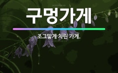 🌟구멍가게: 조그맣게 차린 가게. - 표준국어대사전