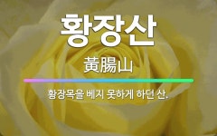 🌟황장산: 황장목을 베지 못하게 하던 산. - 표준국어대사전