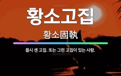 🌟황소고집: 몹시 센 고집. 또는 그런 고집이 있는 사람. - 표준국어대사전