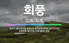🌟회풍: 갑자기 생긴 저기압 주변으로 한꺼번에 모여든 공기가 나선 모양으로 일으키는 선회(旋回) 운동. - 표준국어대사전