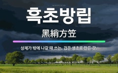 🌟흑초방립: 상제가 밖에 나갈 때 쓰는, 검은 생초로 만든 갓. - 표준국어대사전