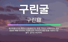 🌟구린굴: 제주특별자치도 제주시 오등동에 있는 동굴. 한라산 서쪽에 있는 영암 동굴로 해발 600미터 지점... - 표준국어대사전
